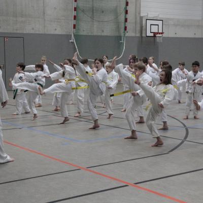 Kodokan Tkd Lg 28022026 Einheit 1 0051