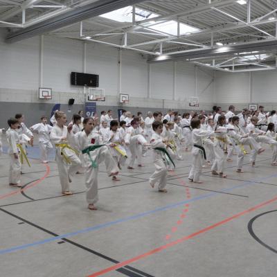 Kodokan Tkd Lg 28022026 Einheit 1 0060