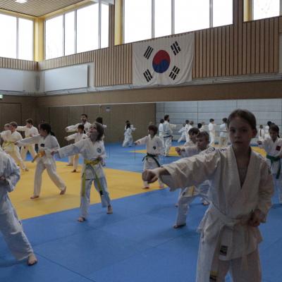 Kodokan Tkd Lg 28022026 Einheit 2 0011