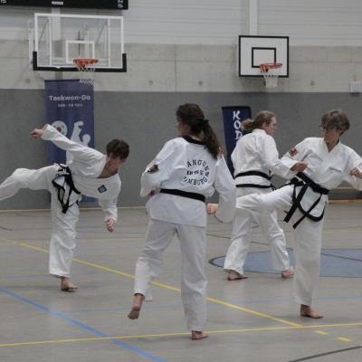 Kodokan Tkd Lg 28022026 Einheit 2 0027