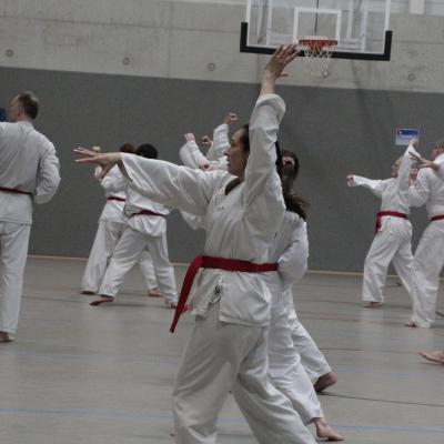 Kodokan Tkd Lg 28022026 Einheit 2 0058