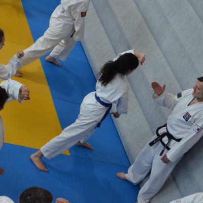 Kodokan Tkd Lg 28022026 Einheit 2 0224