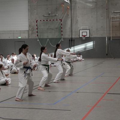 Kodokan Tkd Lg 28022026 Einheit 3 0020