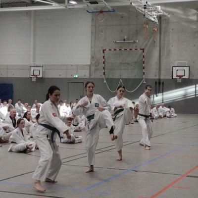 Kodokan Tkd Lg 28022026 Einheit 3 0030