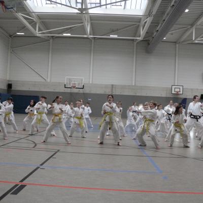 Kodokan Tkd Lg 28022026 Einheit 3 0058